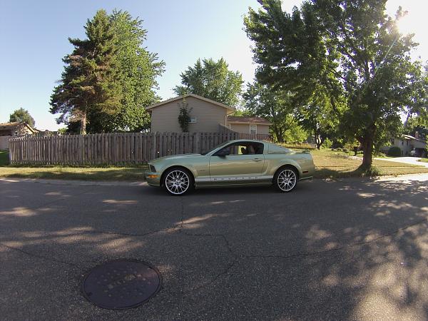 What did you do with your Mustang today?*-image.jpg