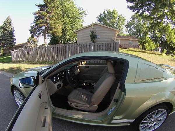 What did you do with your Mustang today?*-image.jpg