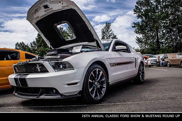 Washing your mustang?-cali1.jpg