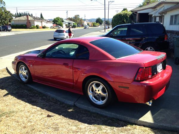 What did you do with your Mustang today?*-image-1291618878.jpg