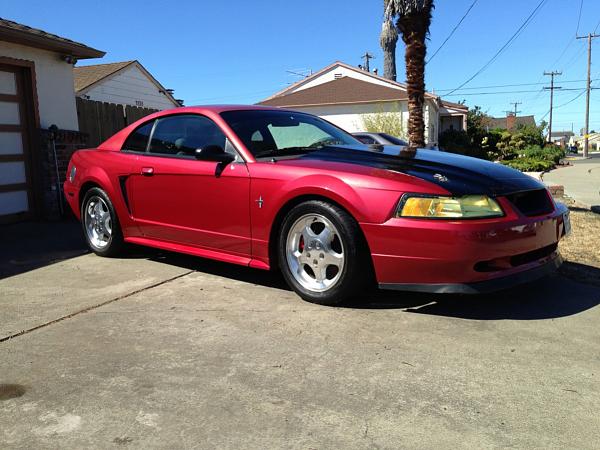 What did you do with your Mustang today?*-image-578182216.jpg