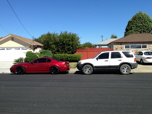 What did you do with your Mustang today?*-image-615023246.jpg