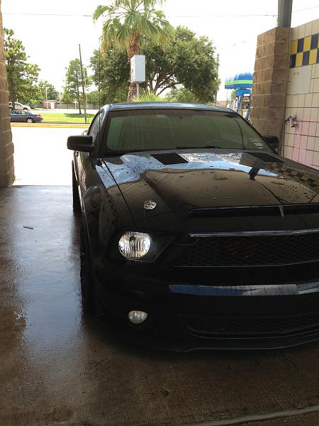 What did you do with your Mustang today?*-image-2450530647.jpg