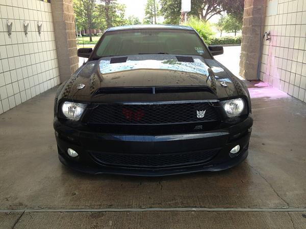 What did you do with your Mustang today?*-image-2697243403.jpg