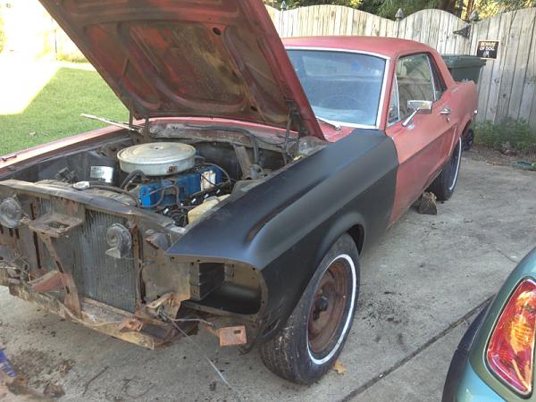 What did you do with your Mustang today?*-image-1602793359.jpg