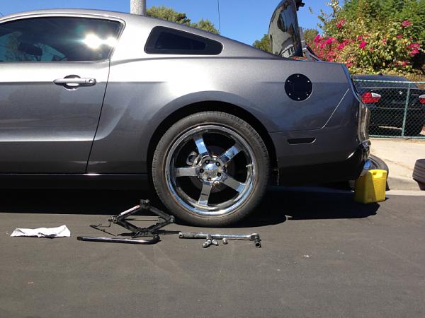 What did you do with your Mustang today?*-image-1770013257.jpg