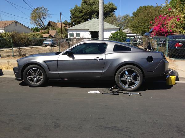 What did you do with your Mustang today?*-image-187131320.jpg