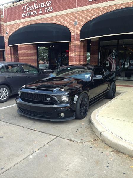 What did you do with your Mustang today?*-image-3524113320.jpg