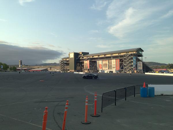 What did you do with your Mustang today?*-image-253818608.jpg