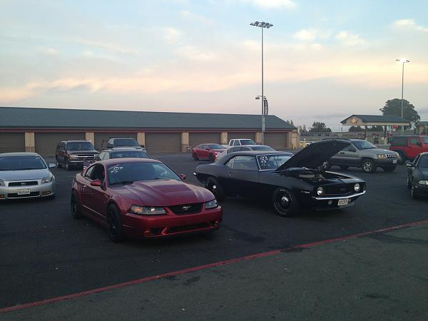 What did you do with your Mustang today?*-image-198116039.jpg