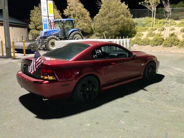 What did you do with your Mustang today?*-image-3545293917.jpg