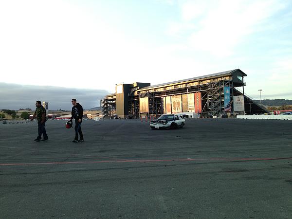 What did you do with your Mustang today?*-image-202829803.jpg