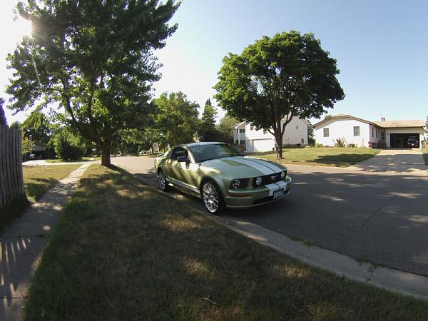 Ponies on The Run!-image-3841594959.jpg