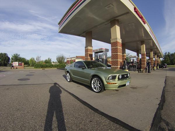 Ponies on The Run!-image-661914999.jpg