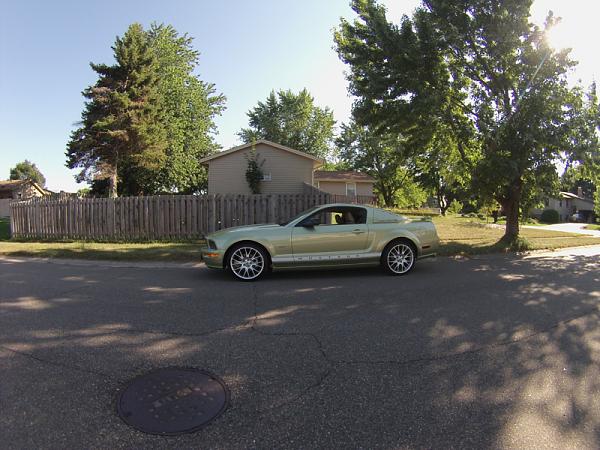 Ponies on The Run!-image-294819285.jpg