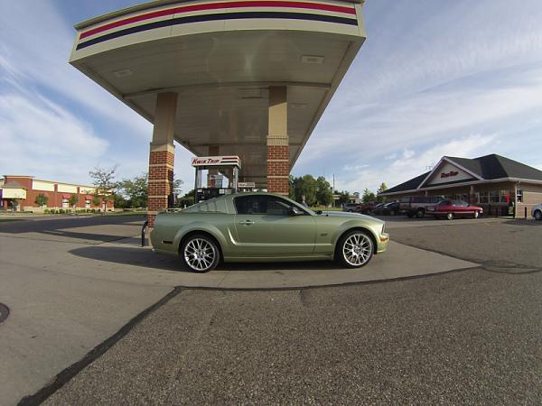 Ponies on The Run!-image-2859758526.jpg