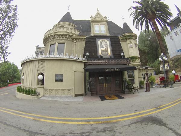 Ponies on The Run!-image-4121057153.jpg