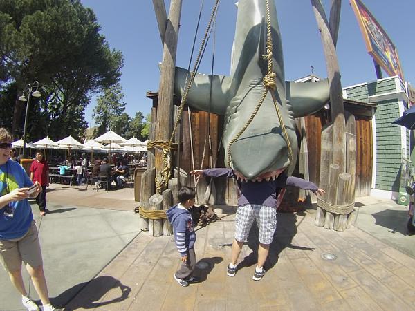 Ponies on The Run!-image-1826559367.jpg