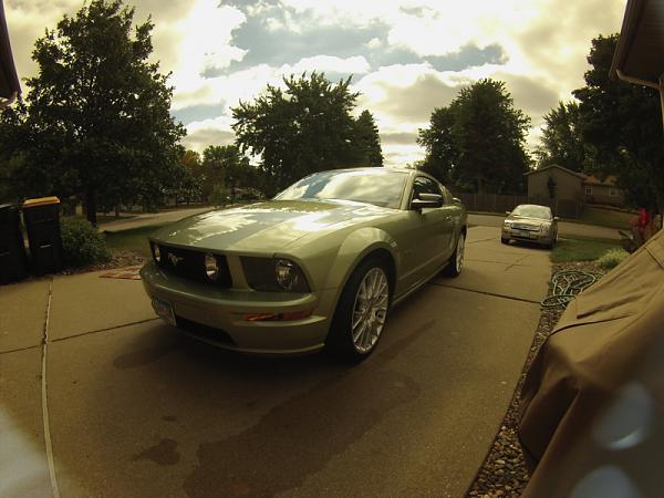 Ponies on The Run!-image-1368525550.jpg