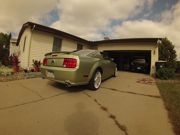 Ponies on The Run!-image-3987353609.jpg