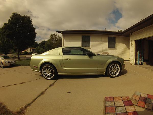 Ponies on The Run!-image-3777949679.jpg