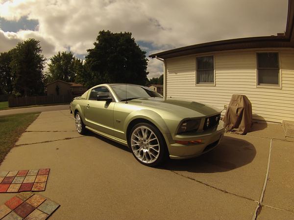 Ponies on The Run!-image-363786250.jpg