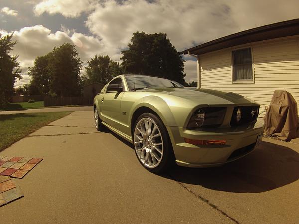 Ponies on The Run!-image-1596896595.jpg