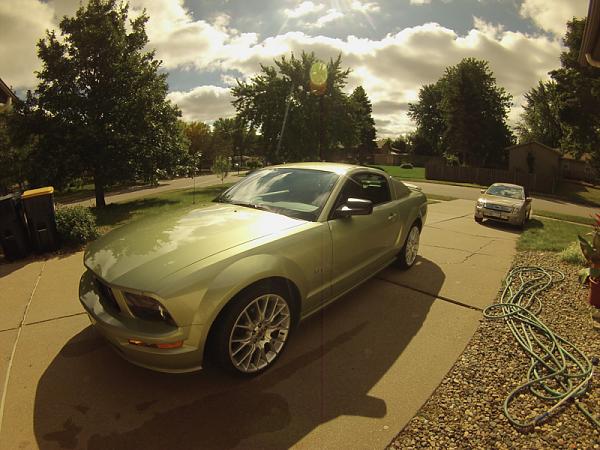 Ponies on The Run!-image-3543844790.jpg