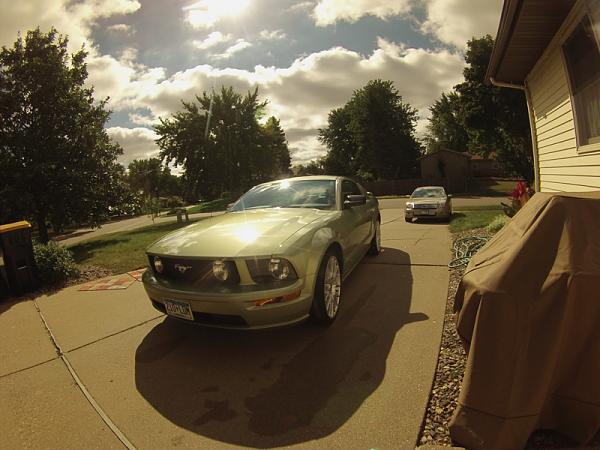 Ponies on The Run!-image-645046872.jpg