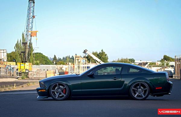 Ponies on The Run!-image-4260763159.jpg