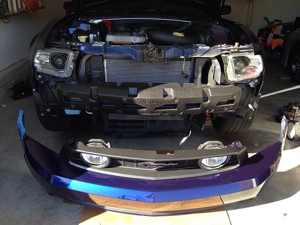 What did you do with your Mustang today?*-image-735827057.jpg