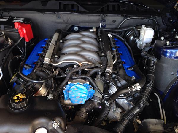 What did you do with your Mustang today?*-image-889025612.jpg