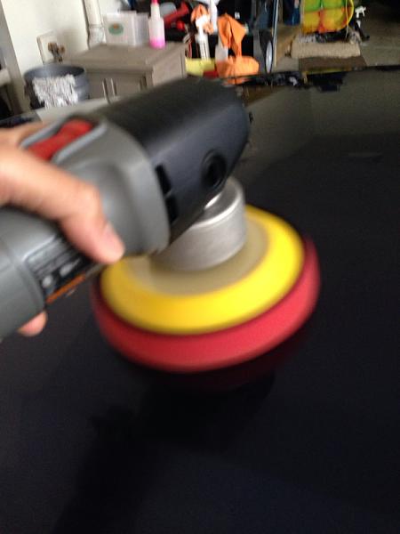 What did you do with your Mustang today?*-image-804529757.jpg