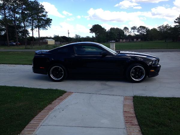 What did you do with your Mustang today?*-image-1107634341.jpg