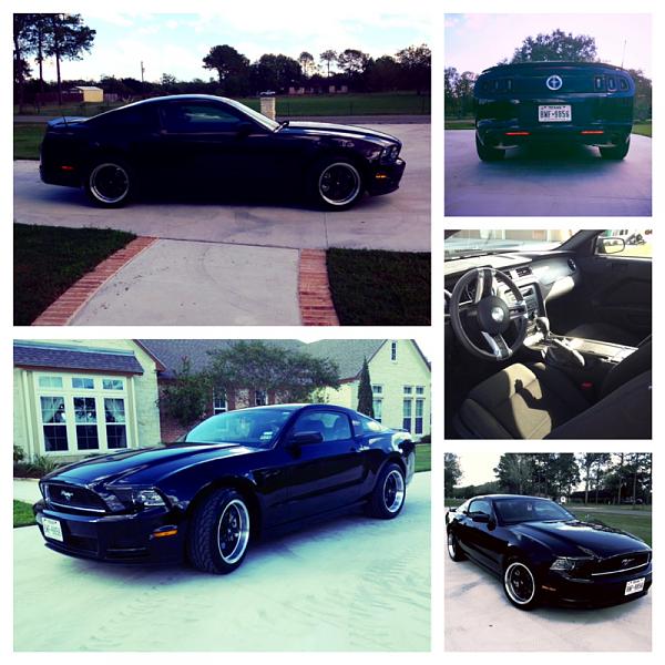 What did you do with your Mustang today?*-image-3324595530.jpg