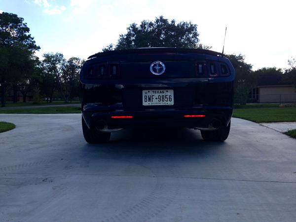 What did you do with your Mustang today?*-image-3978163153.jpg