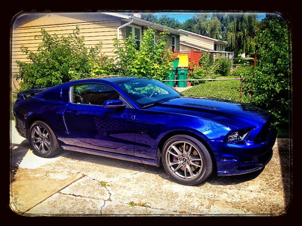 What did you do with your Mustang today?*-image-2931700553.jpg