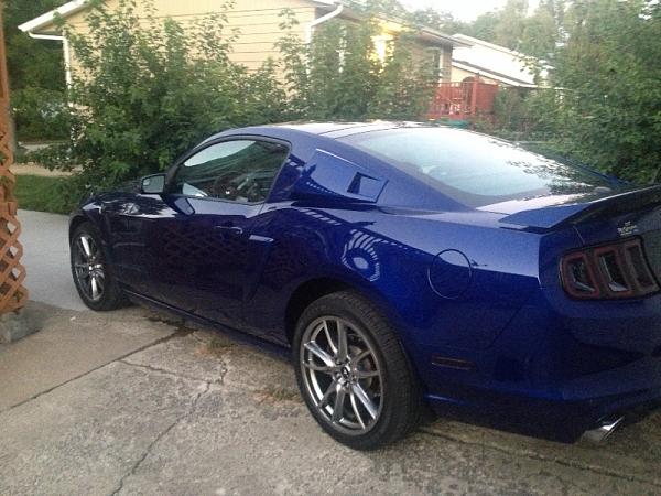 What did you do with your Mustang today?*-image-3258850262.jpg