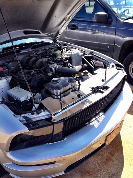 What did you do with your Mustang today?*-image-313767462.jpg