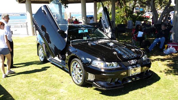 Bedazzled Mustang-2013-10-06-12.32.55.jpg