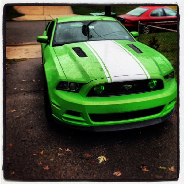 What did you do with your Mustang today?*-photo-1.jpg