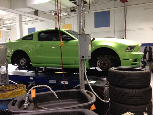 What did you do with your Mustang today?*-image-3837082476.jpg