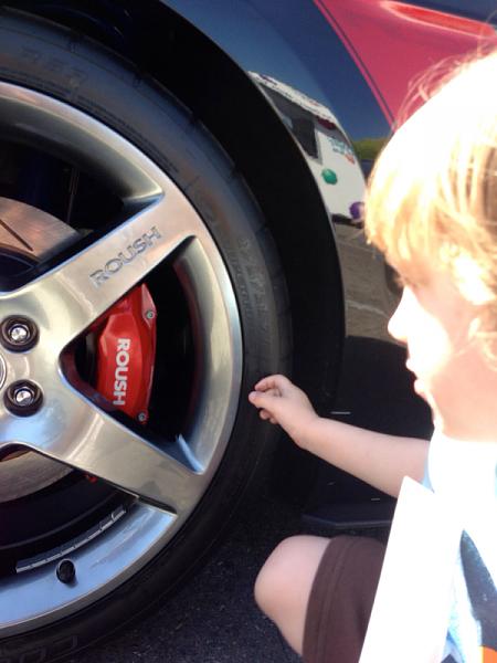 What did you do with your Mustang today?*-image-2907169452.jpg