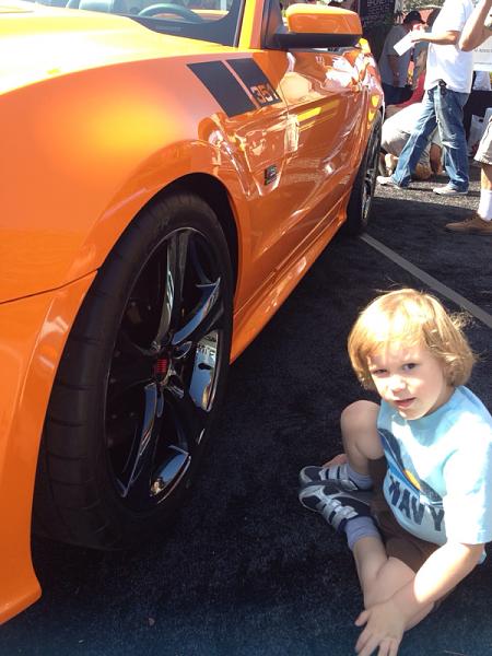 What did you do with your Mustang today?*-image-3519315845.jpg