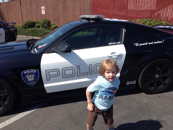 What did you do with your Mustang today?*-image-3070841949.jpg