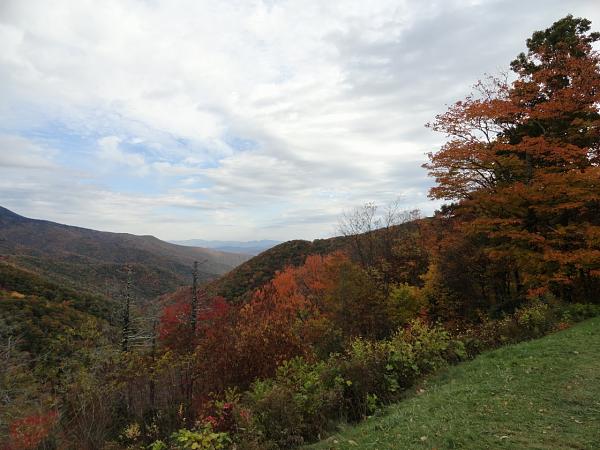 Mustangs on the Blue Ridge Parkway 102013-grandfather-mountain-012.jpg