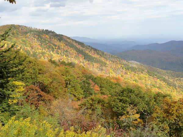 Mustangs on the Blue Ridge Parkway 102013-grandfather-mountain-040.jpg