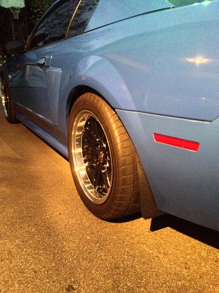 What did you do with your Mustang today?*-image-561419699.jpg