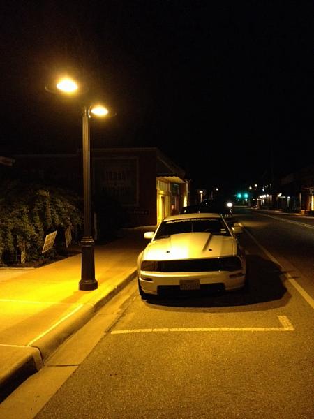 What did you do with your Mustang today?*-image-1026816079.jpg