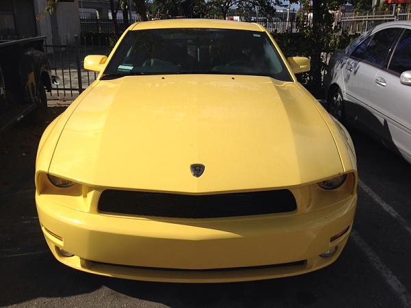 What did you do with your Mustang today?*-image-622050013.jpg